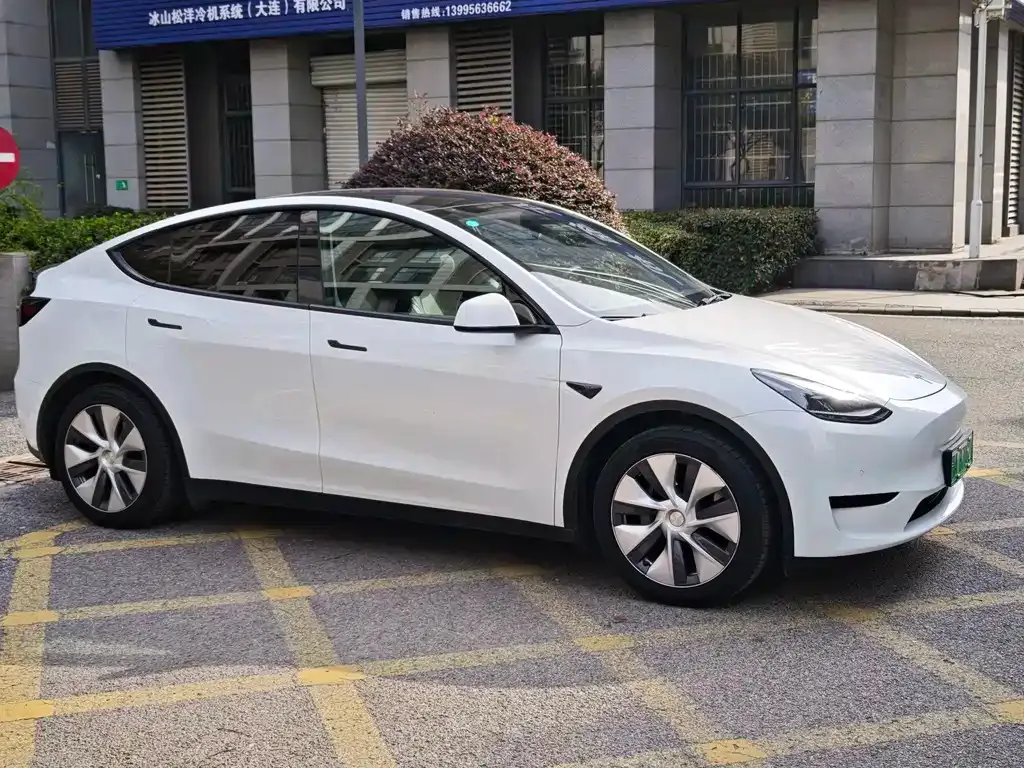 Tesla Model Y — фото 3