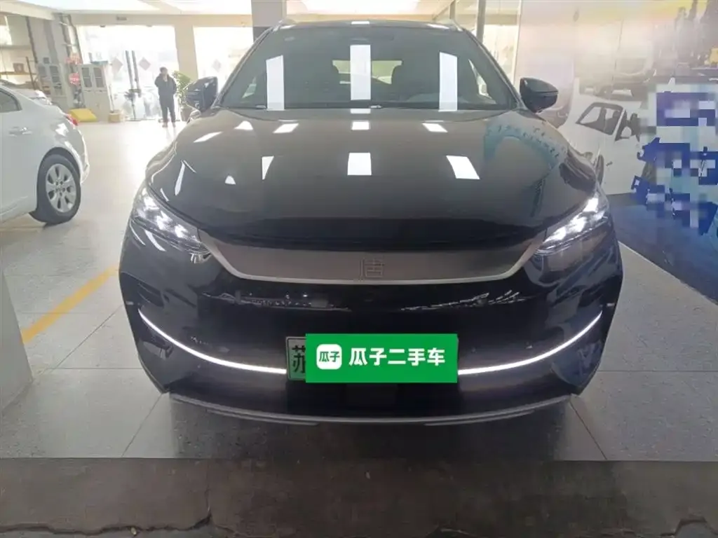 BYD Tang New Energy — фото 3