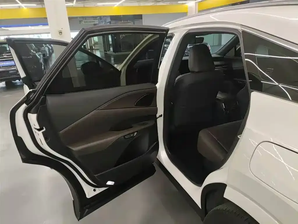 Lexus RX — фото 10