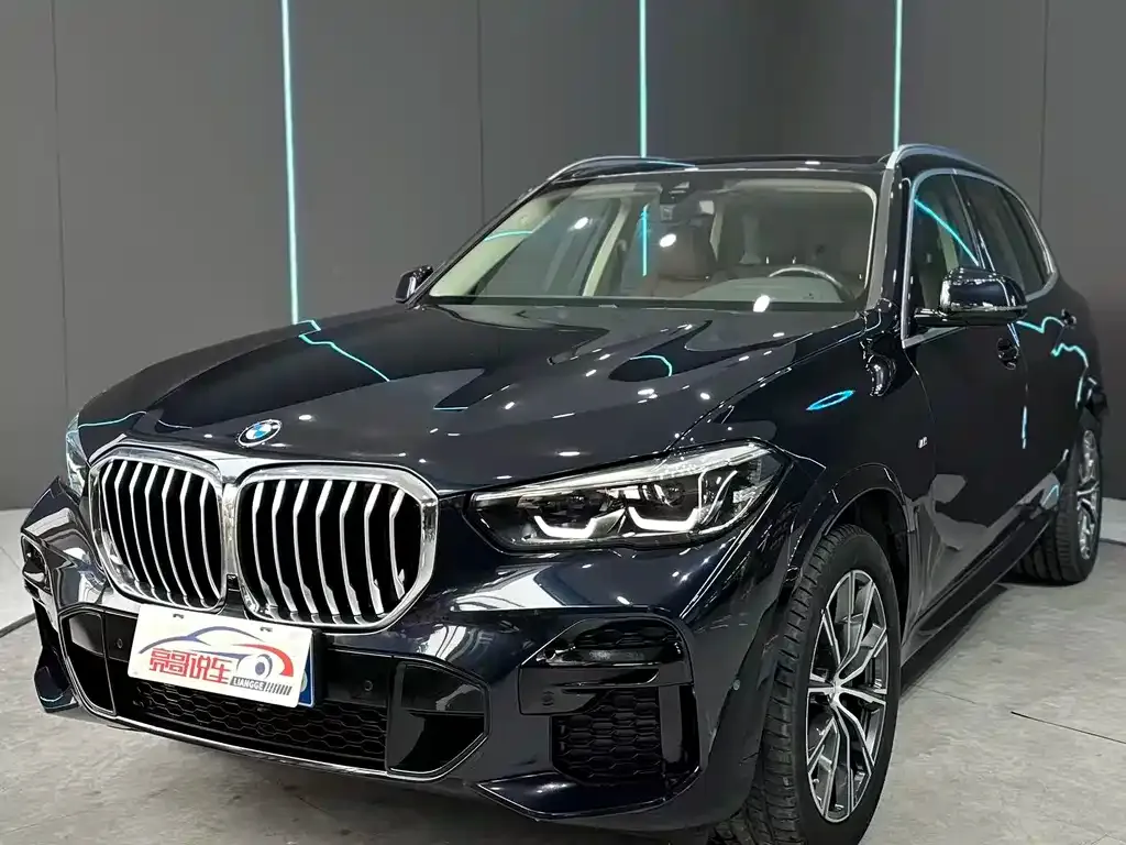BMW X5 (Import) — фото 1