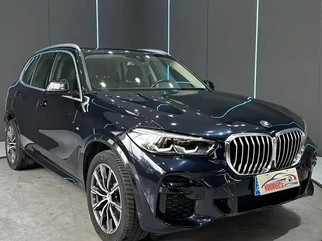 BMW X5 (Import) — фото 3