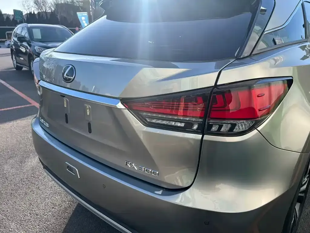 Lexus RX — фото 6