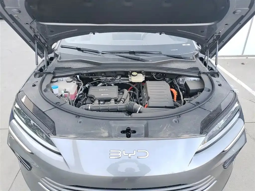 BYD PLUS New Energy — фото 10