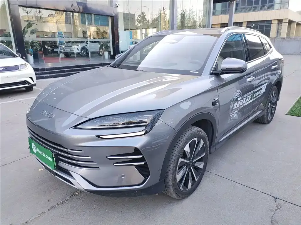 BYD PLUS New Energy — фото 2