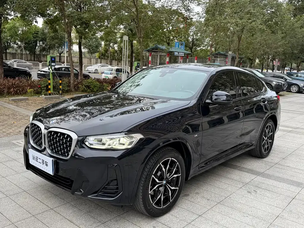 BMW X4 — фото 1