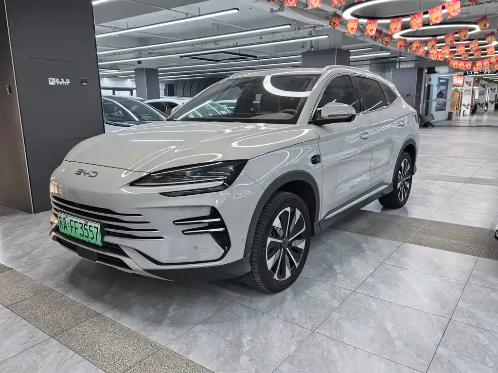 BYD PLUS New Energy — фото 1