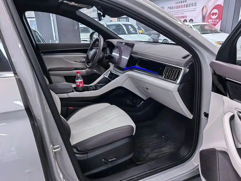 BYD PLUS New Energy — фото 8