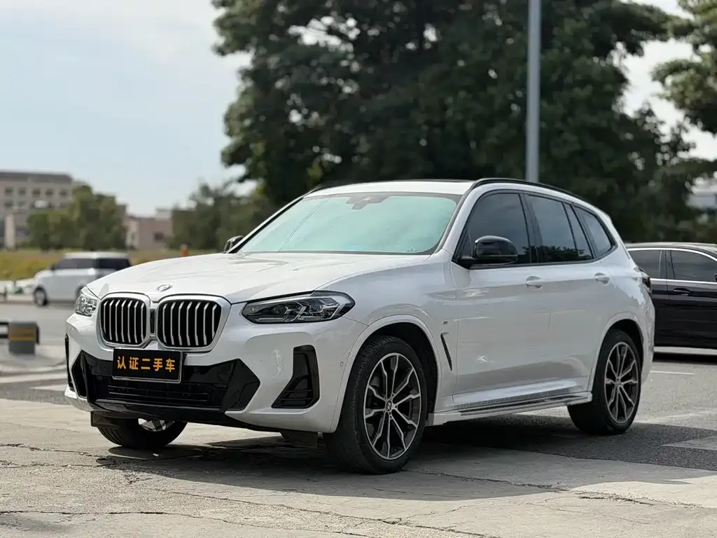 BMW X3 — фото 1