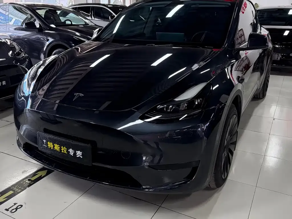 Tesla Model Y — фото 1