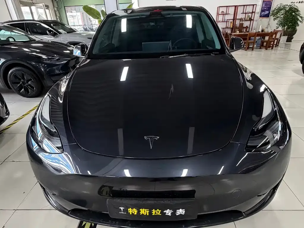 Tesla Model Y — фото 2