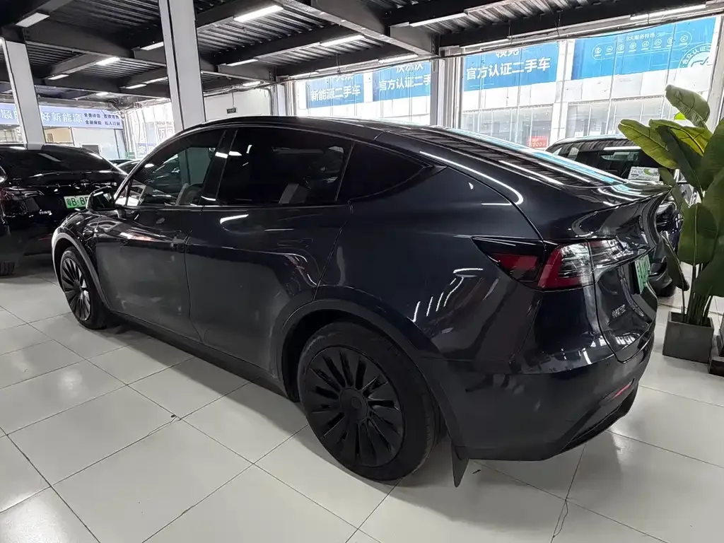 Tesla Model Y — фото 3