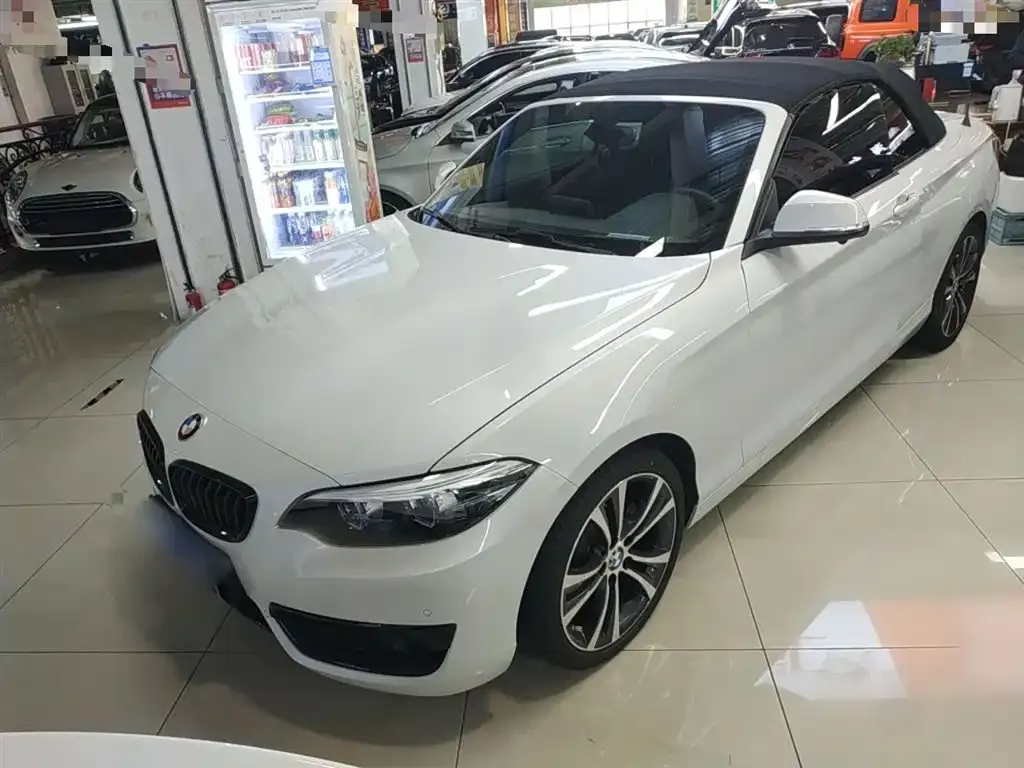 BMW 2 Series (Import) — фото 1