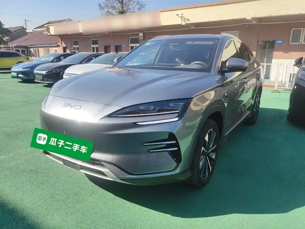 BYD PLUS New Energy — фото 1