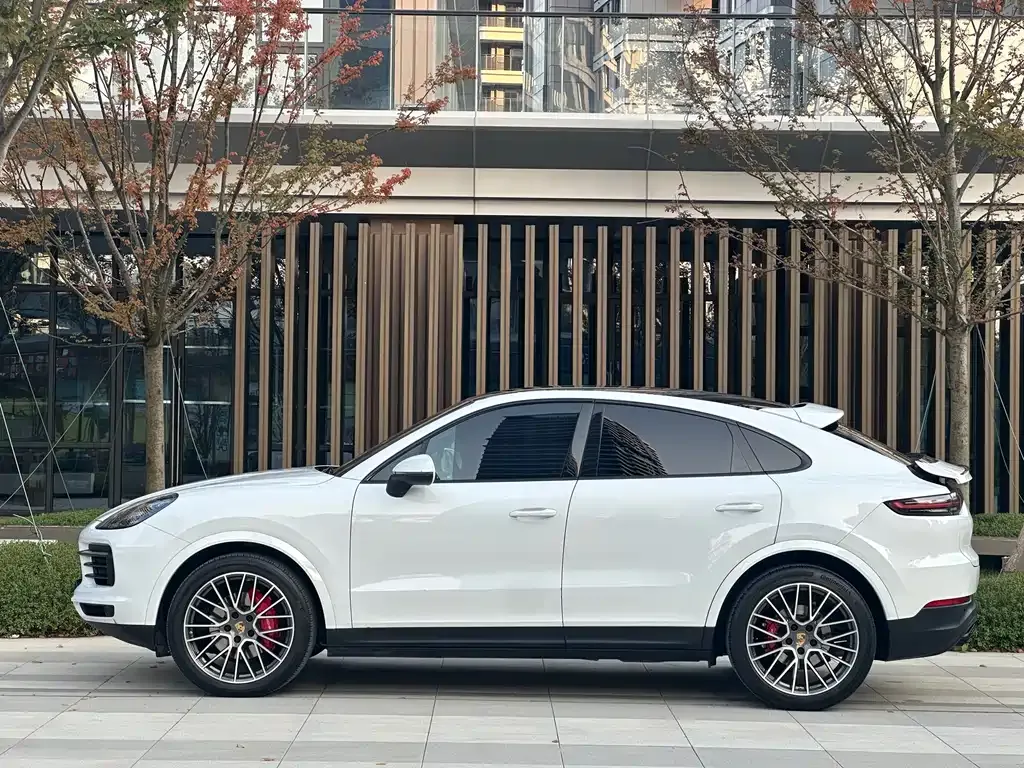 Porsche Cayenne — фото 7
