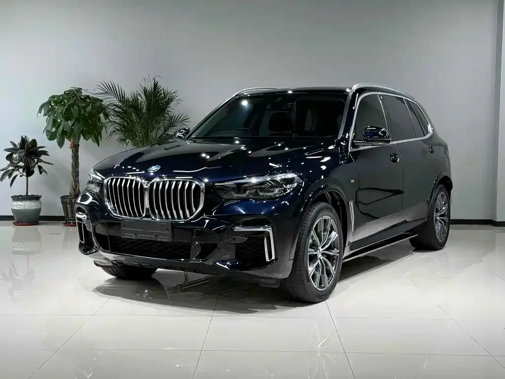 BMW X5 — фото 1