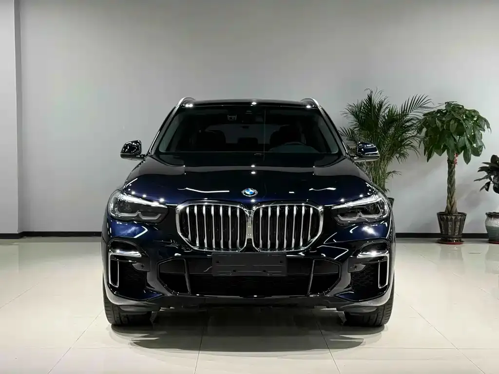 BMW X5 — фото 2