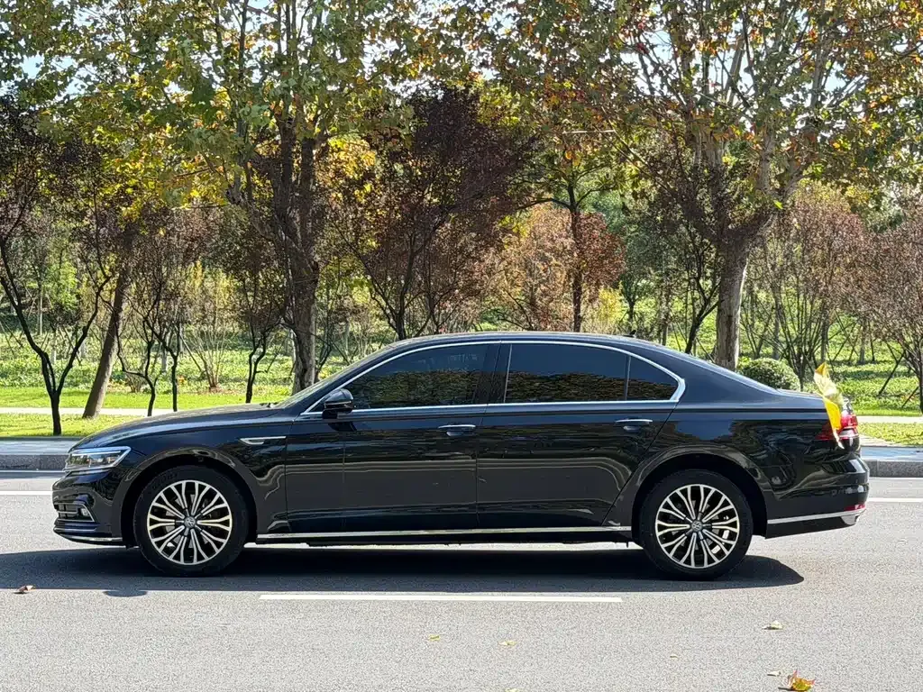 Volkswagen Phideon — фото 10