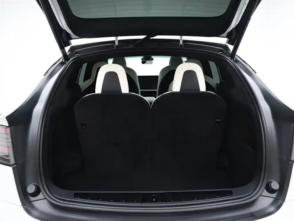 Tesla Model X — фото 8