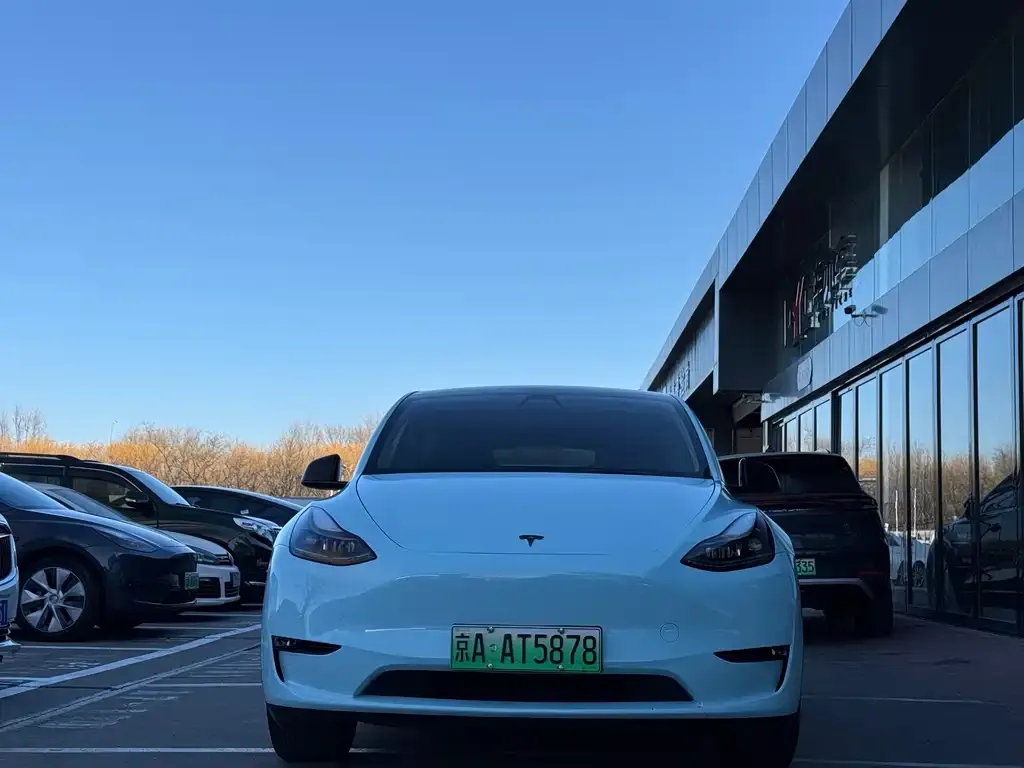 Tesla Model Y — фото 2