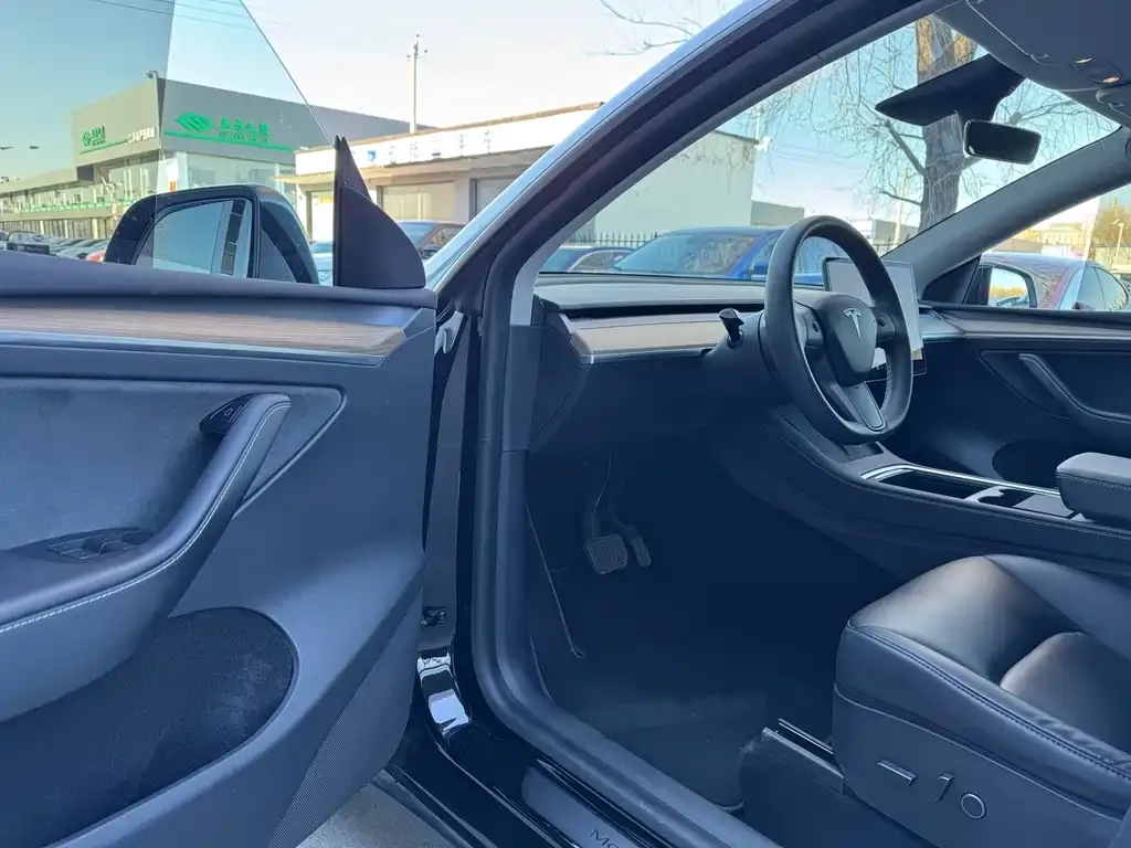 Tesla Model Y — фото 5
