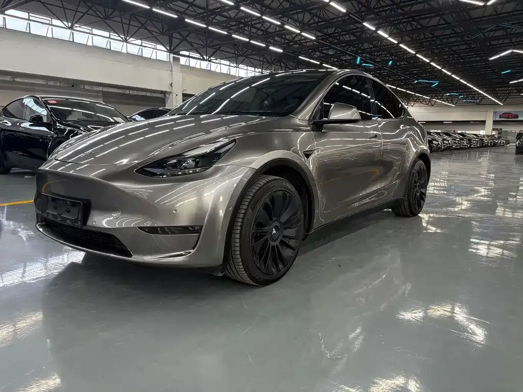 Tesla Model Y — фото 1