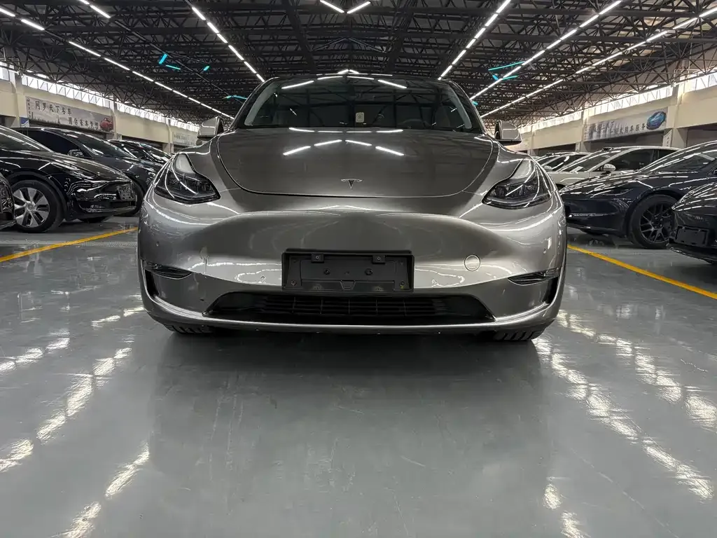 Tesla Model Y — фото 2