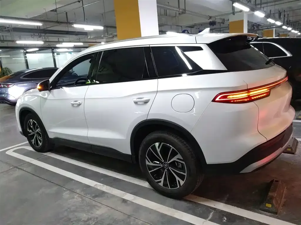 BYD Pro New Energy — фото 5