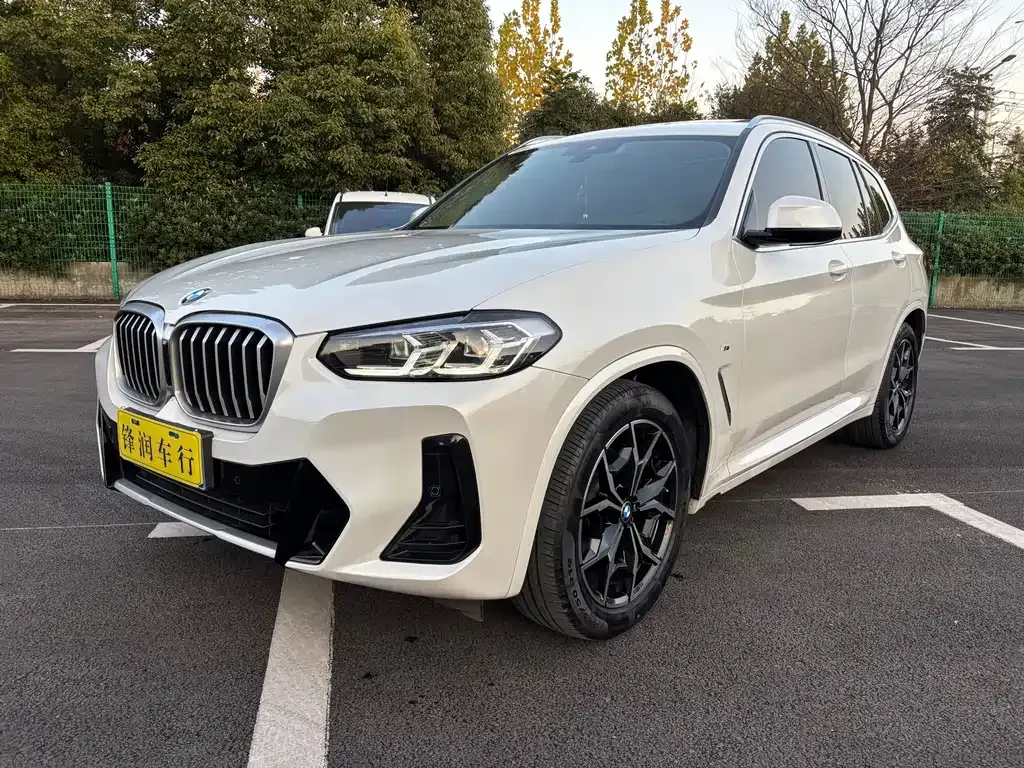 BMW X3 — фото 1