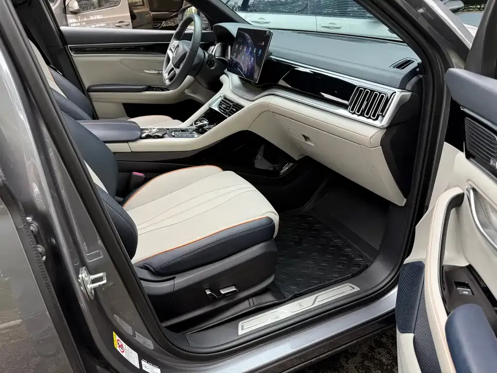 BYD PLUS New Energy — фото 10
