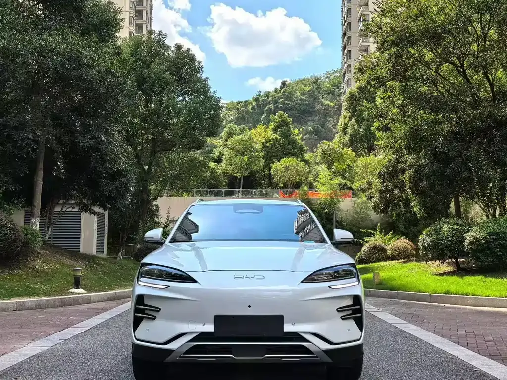 BYD PLUS New Energy — фото 2