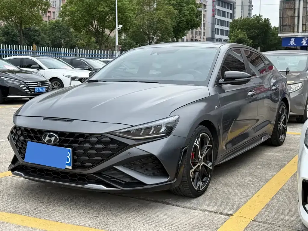 Hyundai Fista — фото 1