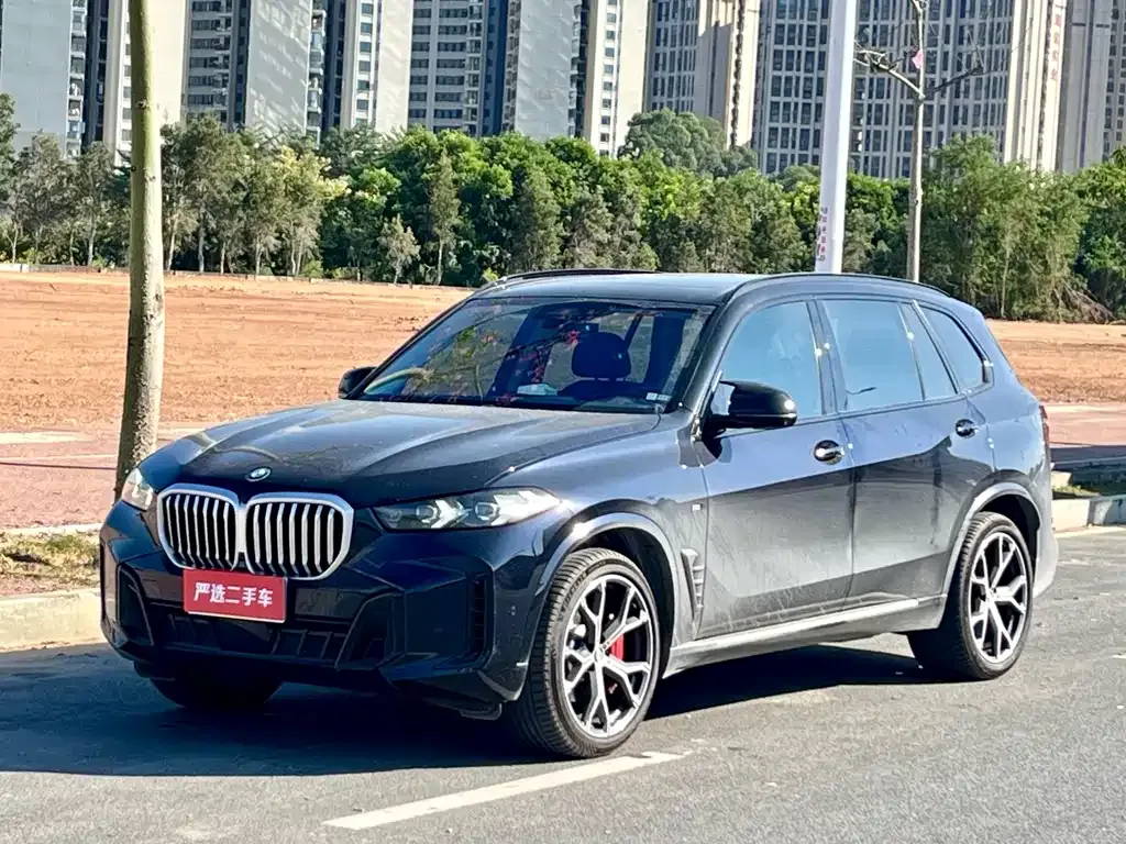 BMW X5 — фото 1