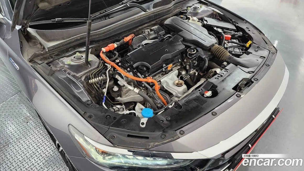 Honda Accord — фото 6