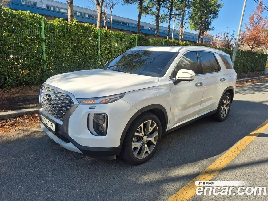 Hyundai Palisade — фото 1