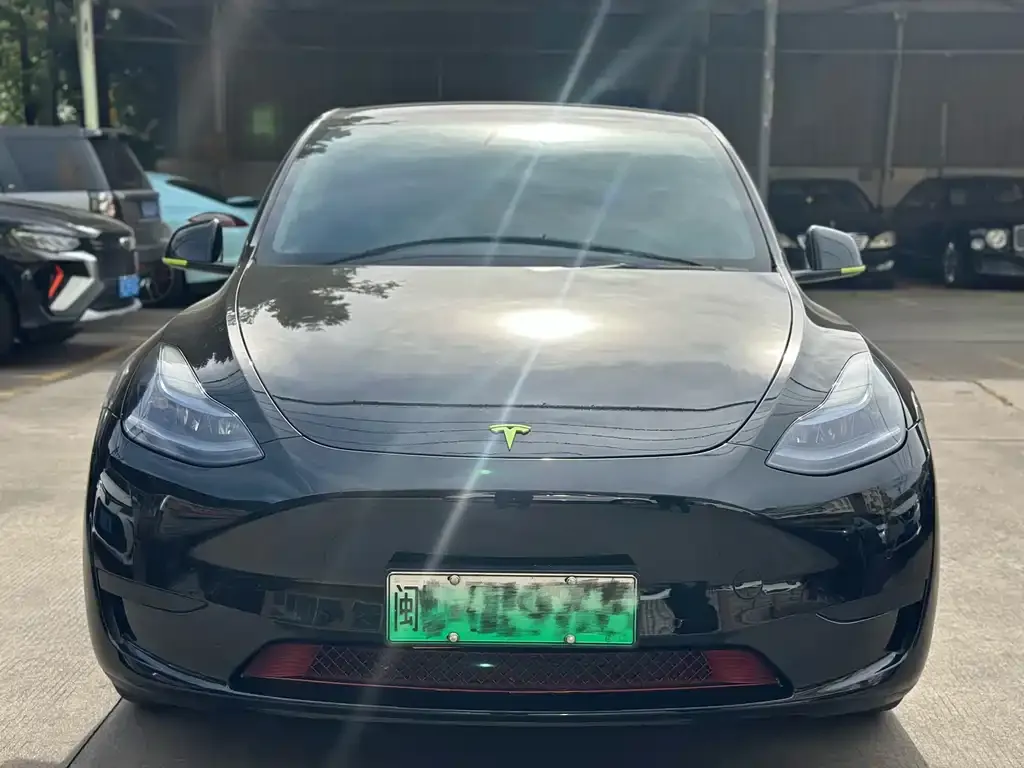 Tesla Model Y — фото 2