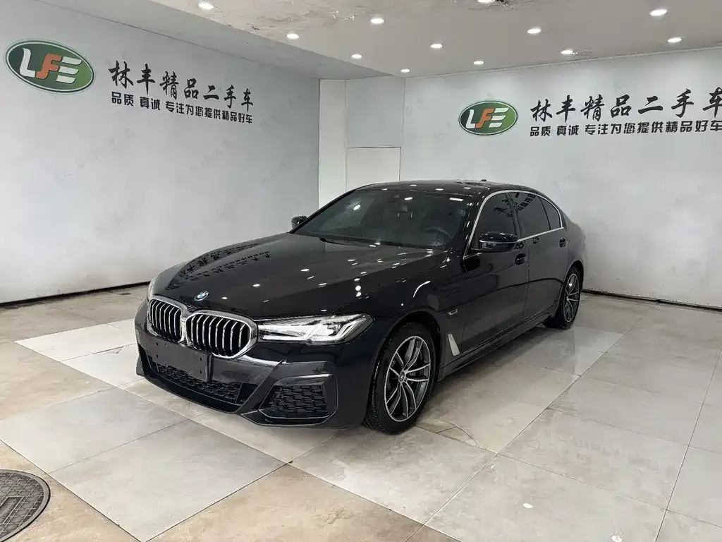 BMW 5 Series New Energy — фото 1