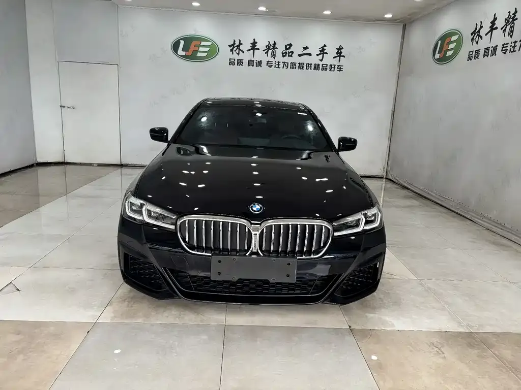 BMW 5 Series New Energy — фото 3