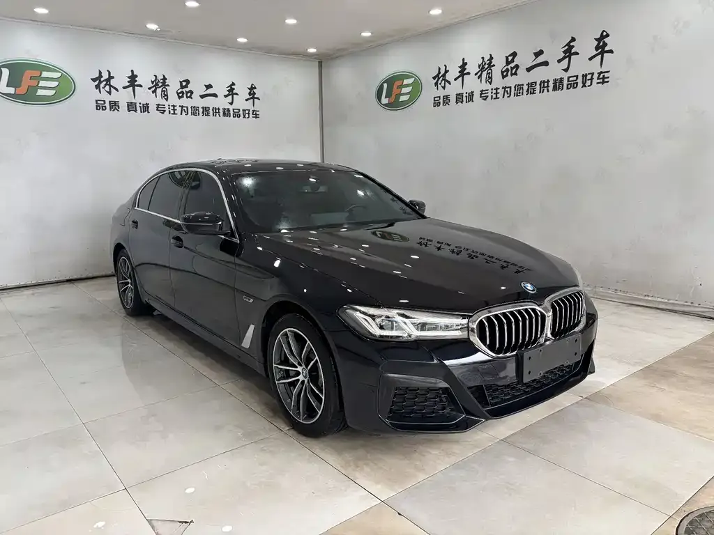 BMW 5 Series New Energy — фото 4