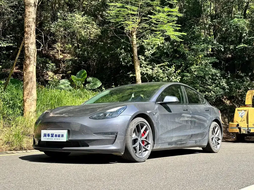 Tesla Model 3 — фото 1