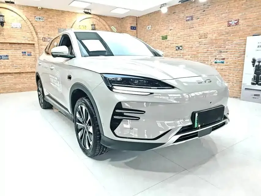 BYD PLUS New Energy — фото 3