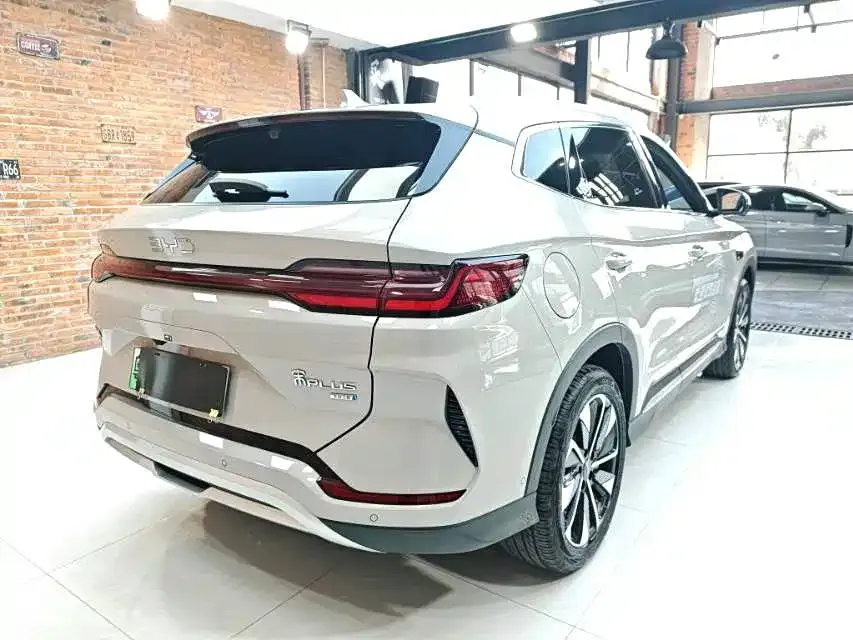 BYD PLUS New Energy — фото 4