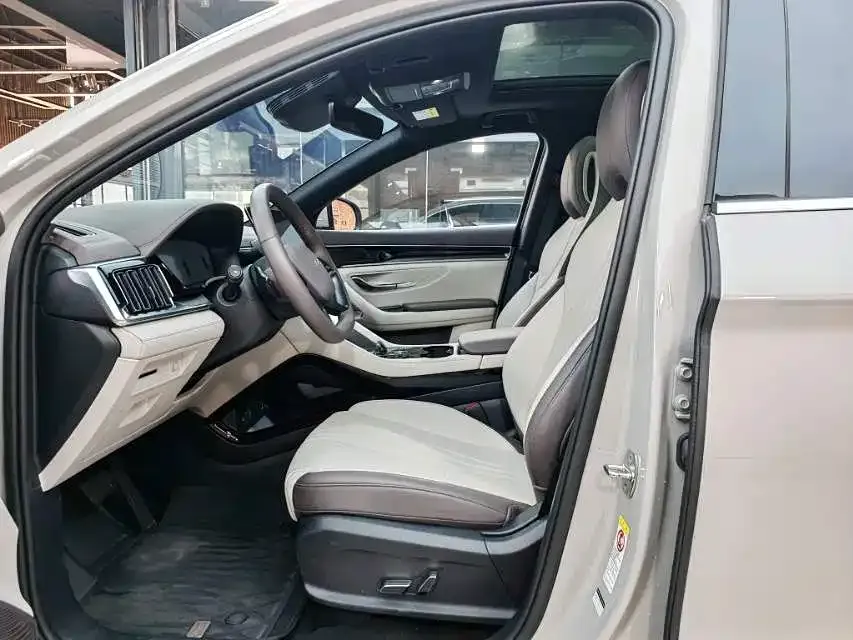 BYD PLUS New Energy — фото 9