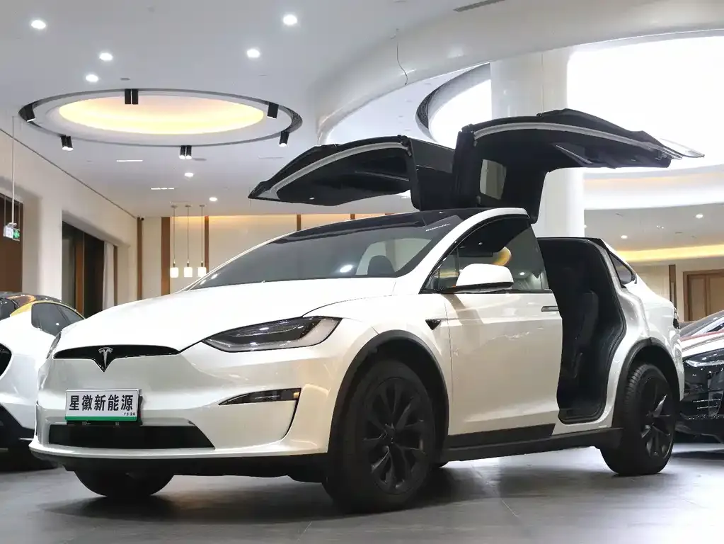 Tesla Model X — фото 1