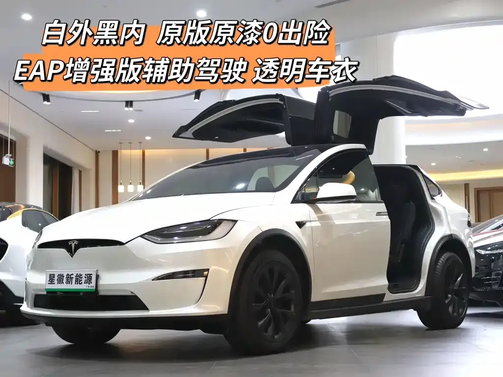 Tesla Model X — фото 2