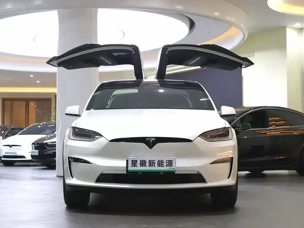 Tesla Model X — фото 3