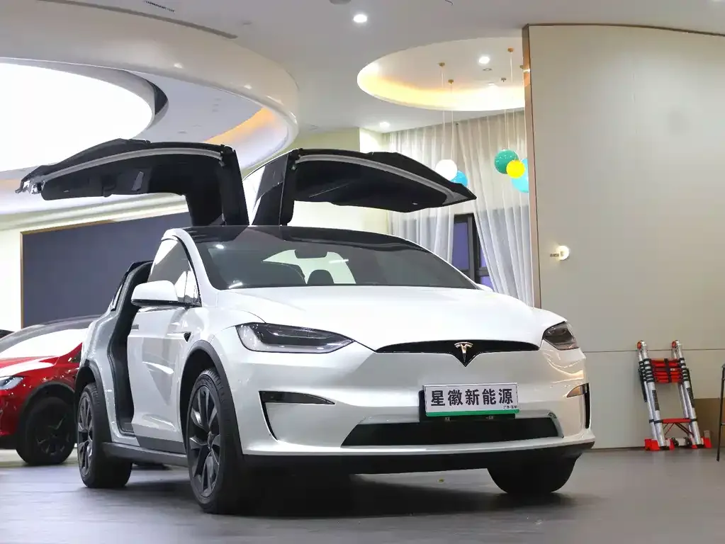 Tesla Model X — фото 4
