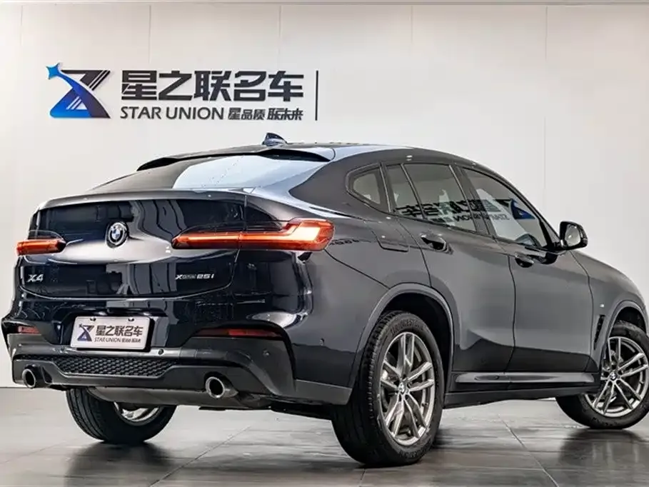 BMW X4 — фото 8