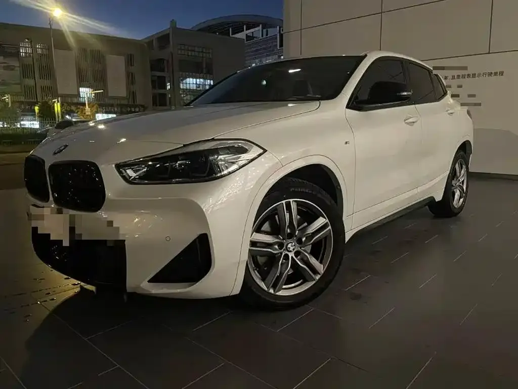 BMW X2 — фото 1