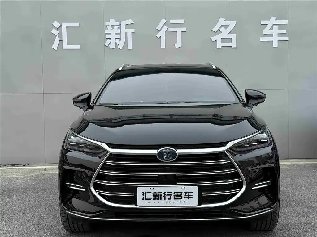 BYD Tang New Energy — фото 2