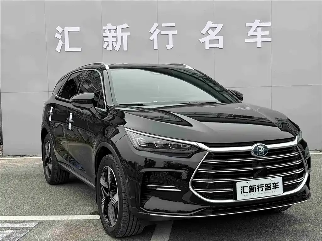 BYD Tang New Energy — фото 3